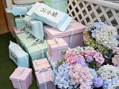 -苏小糖(鼓浪屿三丘田花园店)