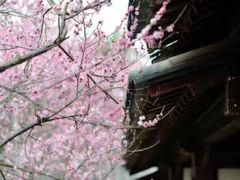 -西安青龙寺遗址景区
