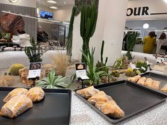 -OUR Bakery(SKP-S店)