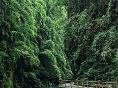 -阿依河景区
