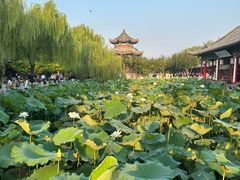 -济南大明湖景区