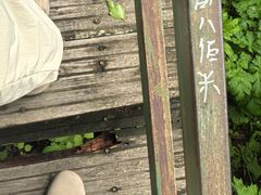 -凤凰山国家森林公园