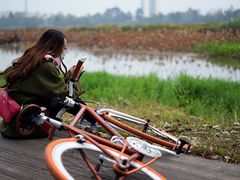 -白鹭湾湿地公园