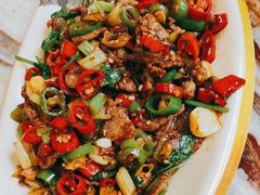 -椿记烧鹅(叠彩店)