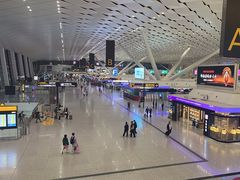 -郑州新郑国际机场-T2航站楼