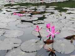 -白沙门生态公园