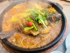 -老板恋上鱼(恒隆广场店)