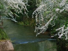 -中国茶叶博物馆(双峰馆区)
