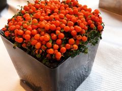 -YUNHE秐合· 雅致浙宴(西溪店)