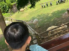 -泉州海丝野生动物世界