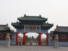 -曹州牡丹园