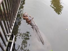 -海南热带野生动植物园