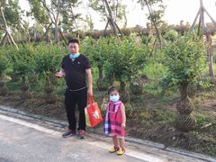 -武汉紫薇都市田园