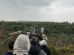 -雨花胜境