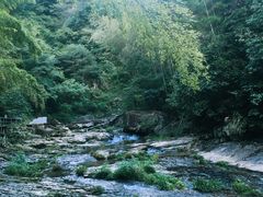 -宁波余姚老柿林山居度假村