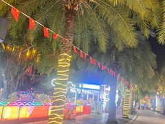 -三亚海昌梦幻海洋不夜城