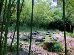 -新虹桥中心花园