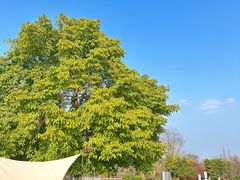 -云里小坐·海泉湾·团建·宴席·下午茶(金堂海泉湾店)