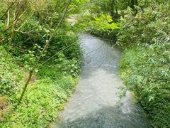 -桤木河湿地公园