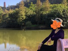 -南沙天后宫景区
