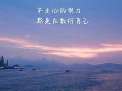 -煲大王猪肚鸡·椰子鸡火锅(红谷滩万达店)