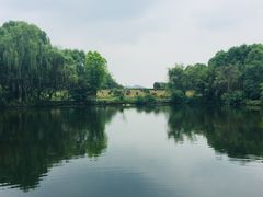 -邓小平故里