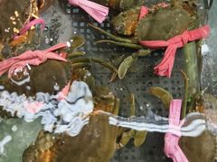 -金龙渔港(双楠店)