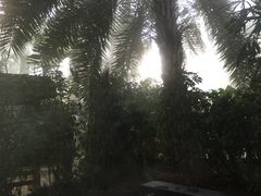 -仁爱团泊湖温泉中心