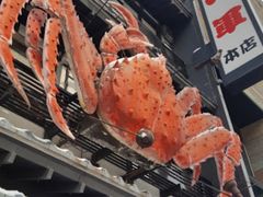 -蟹料理 北海道かに将軍(札幌本店)