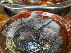 毛肚-正南齊北重庆老火锅(光华村直营店)