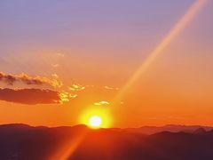 -长虫山生态公园风景林