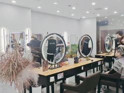 点击看大图 -藤野造型