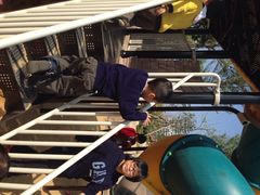 iphone_upload_pic-荔湾区儿童公园