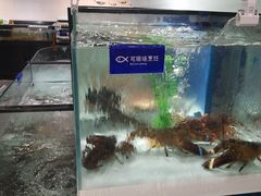 水产区-盒马鲜生(和谐广场店)