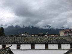 -喵屿·大理花园猫咖