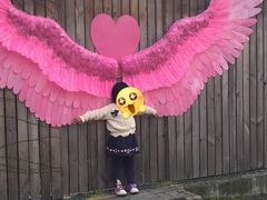 -田园东方蜜桃村的田野营地
