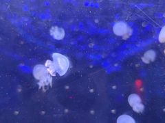 -华熙LIVE·528