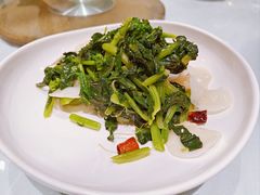 青芥秋耳-天和晟烤鸭店(玉泉西街店)