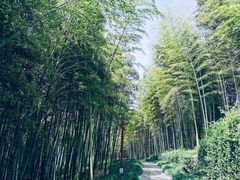 -良渚古城遗址公园