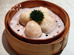 -南海渔村(珠江新城店)