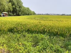 -嘉北郊野公园