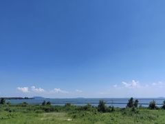 -合肥滨湖国家森林公园