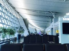 -乐天免税店(仁川国际机场店)