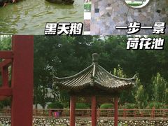 -保定市动物园