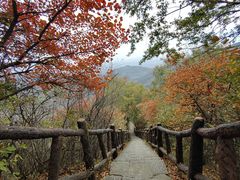 -秦岭终南山世界地质公园翠华山景区
