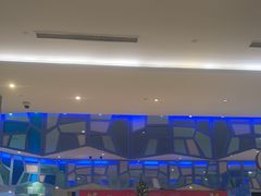 -帝企鹅自助餐厅•儿童岛•真企鹅(长隆企鹅酒店)