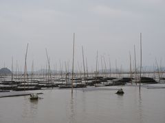 -北岐滩涂