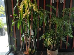 -风渡嘉荷西餐厅 Windy City(西三旗金隅店)