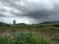 -光明小镇欢乐田园