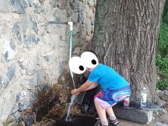 -阳台山自然风景区